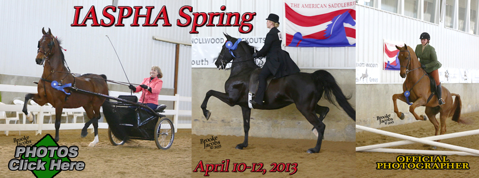 24-IASPHA-Spring.jpg